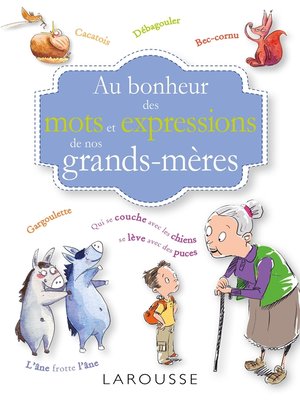 cover image of Au bonheur des mots et expressions de nos grands mères